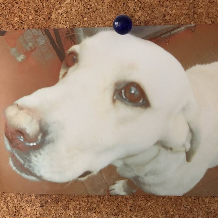 D6b0a445 41d0 4636 98e4 2a345378093e 1510973668499