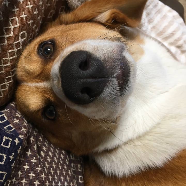 D6b0ac96 430a 4e24 8836 2344ba606a32 1610814058018