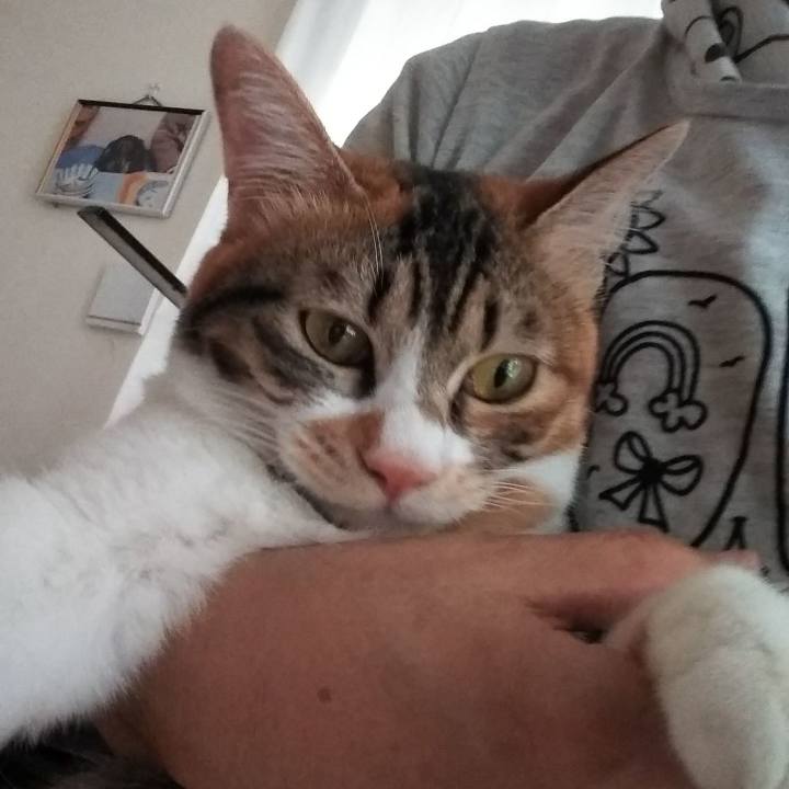 D6b0df8c 5de5 4f46 9583 5cebf8f323d1 1657563336177