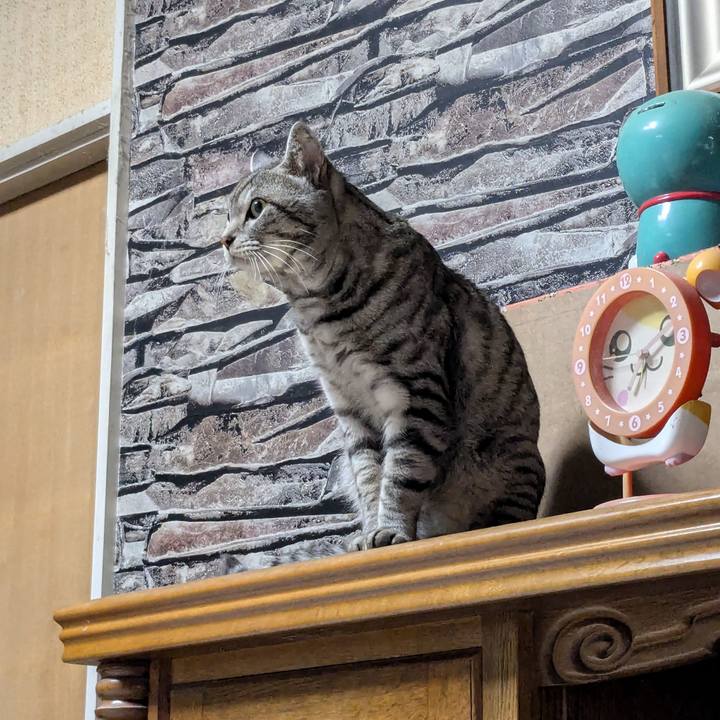 D6b0e340 80b9 46ee 89ef 9db5f71c6b66 1732378245777