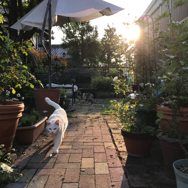 D6b0ed02 9c7e 4a73 bfff 5f978f9b1ea7 1525078708545