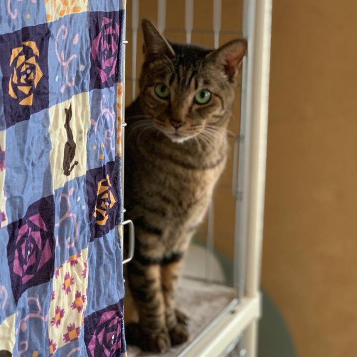 D6b0f71e cdb5 4522 b378 f1bb1e0b95e9 1548205750467