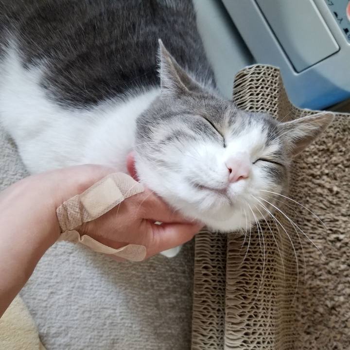 D6b0f964 e0cc 4891 879f bb0f14cf688b 1619596357644