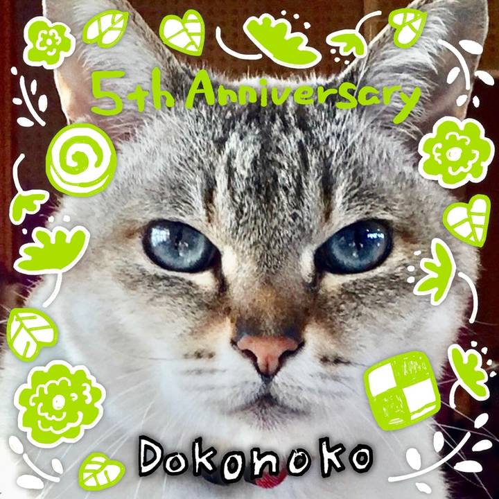 D6b11d5f 0da1 4c3c b1b9 72de964997e1 1622863912018