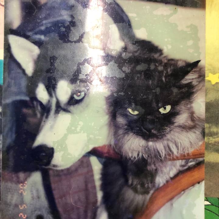 D6b13bd1 f2c7 4aa7 b24b 5c38a4200000 1553071655285