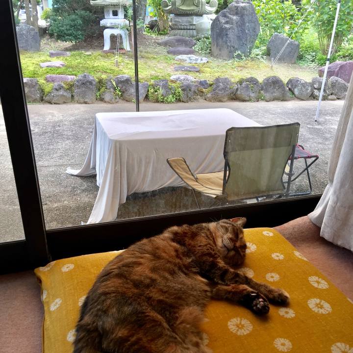 D6b146a1 10a3 4ada 9180 554d89accc0d 1631677358695