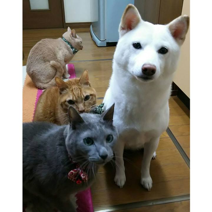 D6b1595d 7030 49f3 a685 950ce585ae4e 1516873313641