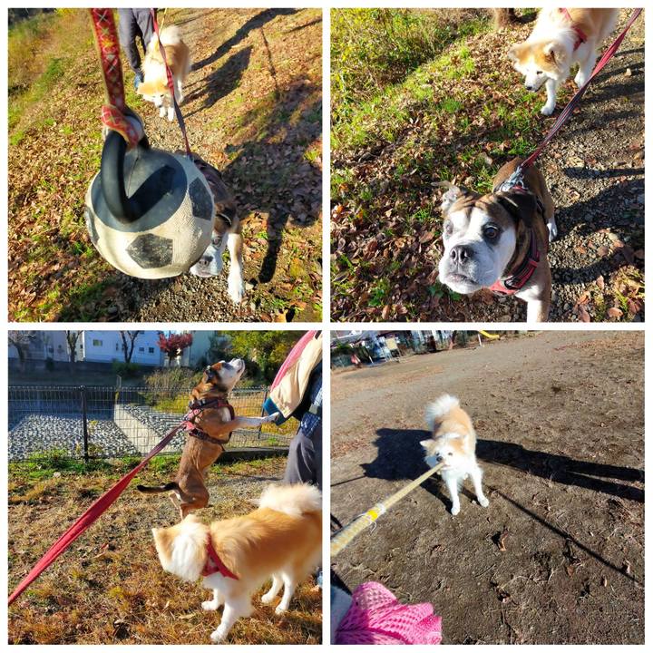 D6b1dc25 c4bc 4c17 aa9e 161d3661b29e 1638013969373