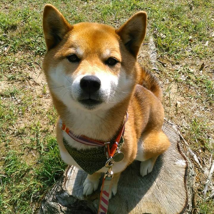 D6b1dffa 58b9 4283 9f92 6ede28dd31ec 1525137189489