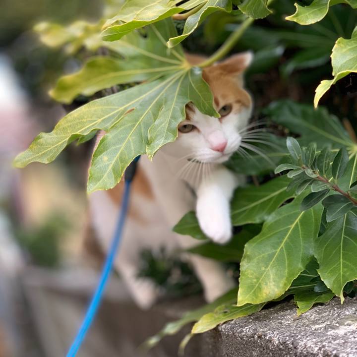 D6b20c39 6fcf 4fc1 9b15 c9039b230499 1579660751101