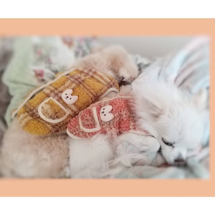 D6b2172d 1741 434b b847 d0364dbf385f 1640001473232