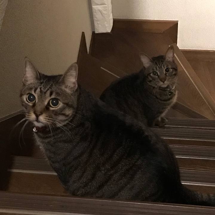 D6b224db bed2 45d4 8f75 4dda0d3c43c9 1582645828801