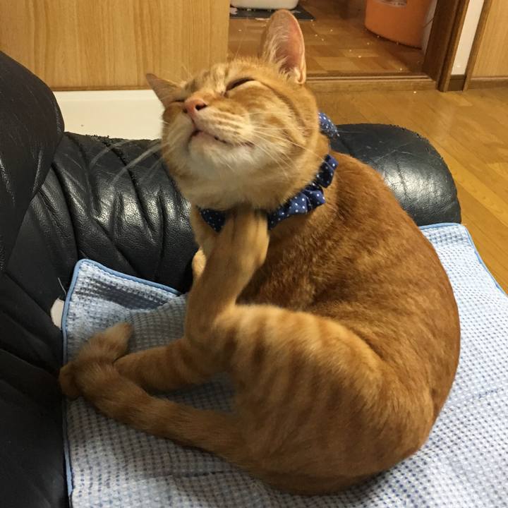 D6b25390 c639 47f6 9688 9747f0a9be47 1544781741387