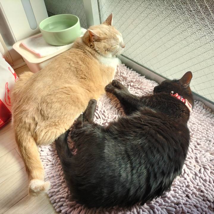 D6b26d05 04f3 4168 88df 9c05d721dfbb 1645837368945