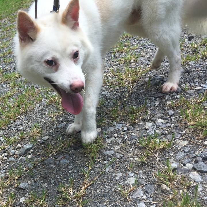 D6b2831f 9599 4e72 a410 e14242ec44ff 1560954695353