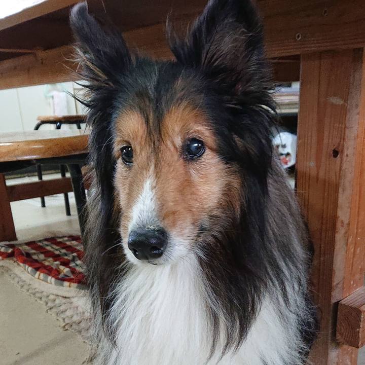 D6b2a65e a2c1 4731 9987 76189d17e755 1552625783891