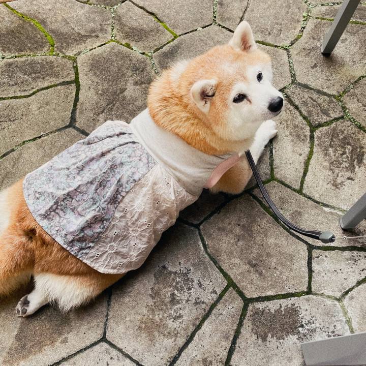 D6b2ab33 ca29 4e1b b1db ce87ebec11e8 1632031699239