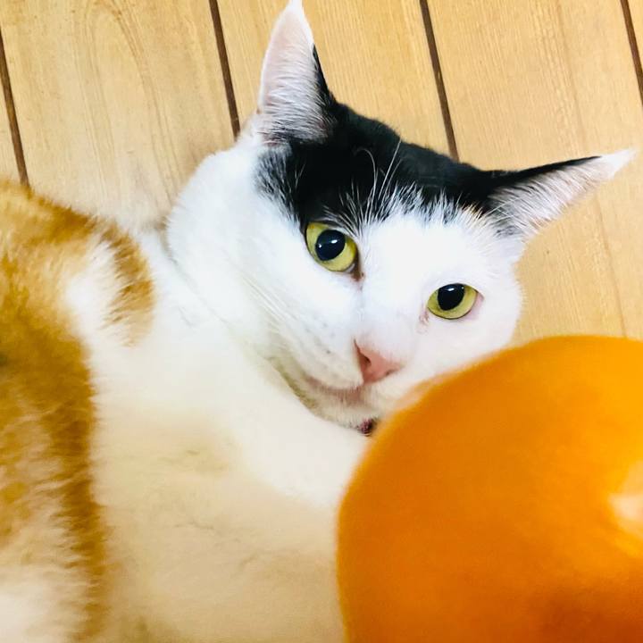 D6b2e806 4206 4312 9320 1d3f16574dde 1735221948725