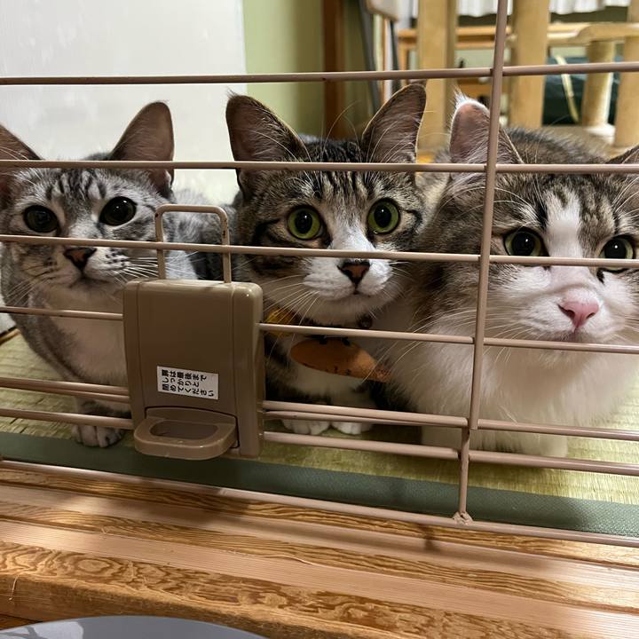 D6b3b13f 4834 412a b0b0 f347e5ec74eb 1753227045848