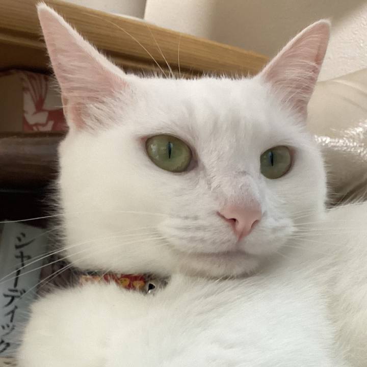 D6b40a56 3562 4051 91a1 adb3e1f24cfc 1692401245970