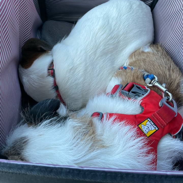 D6b445c0 9da3 455d 9bbb 80bafb528a81 1680411844034