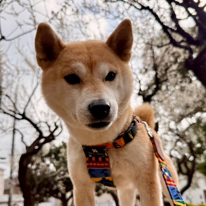 D6b474e9 ea31 43de 9a84 cf5d1d5fdcd3 1772081612382