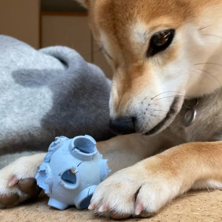 D6b52e91 8e3a 452f 9ce6 2980cadb5835 1642574266496