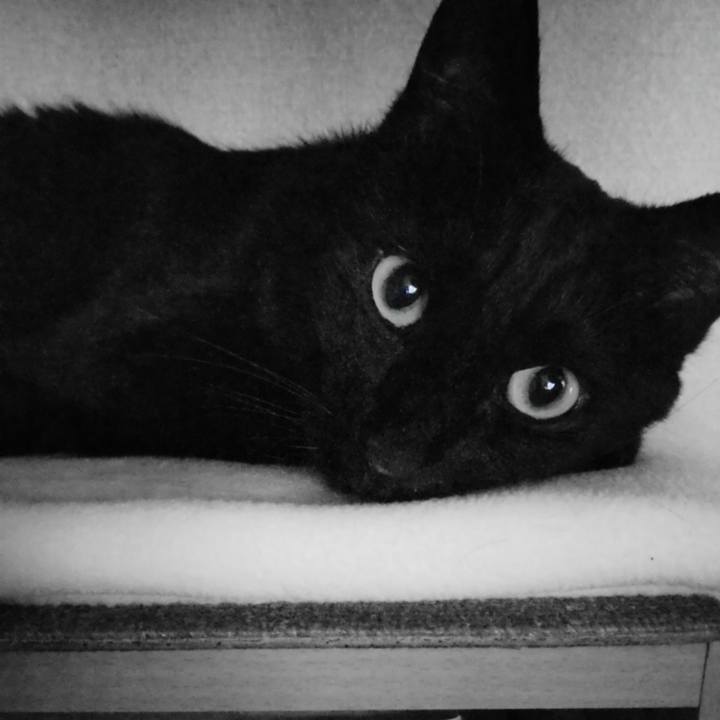 D6b53046 203d 4c50 9eff 63f8cb197786 1714289000490