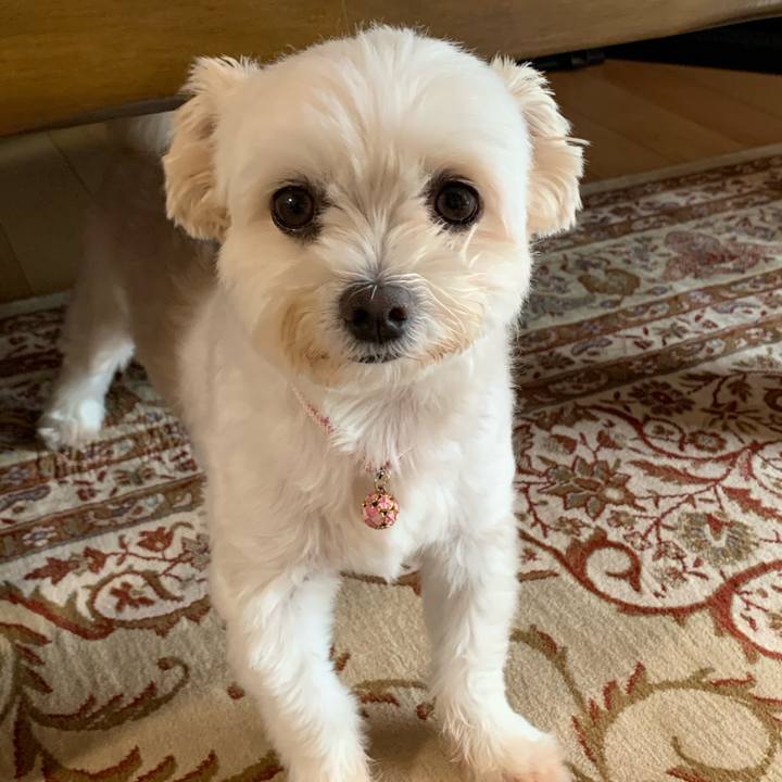 D6b53ab2 7dd4 4f71 9184 f078f7d1cefd 1597493266401