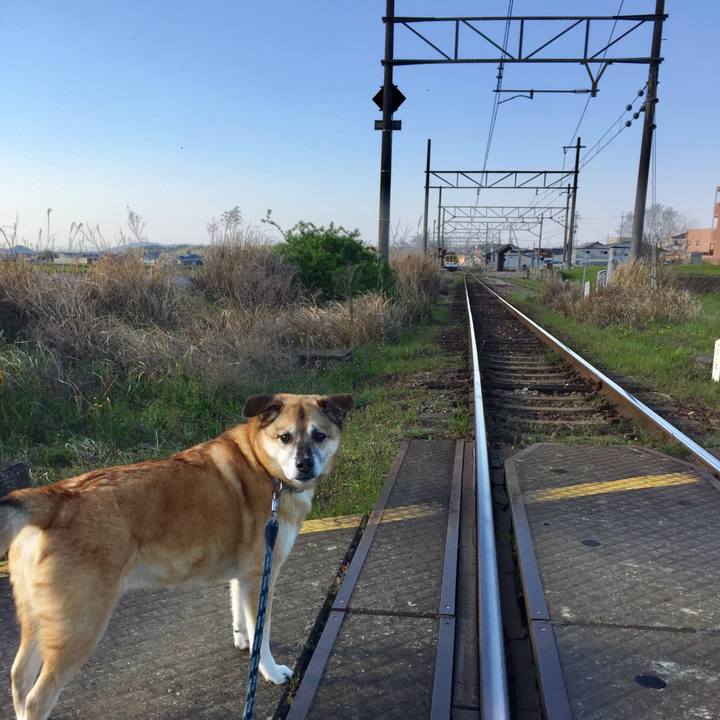 D6b53d62 85cf 461c 83e9 a39fd2fc1c0f 1586254169184