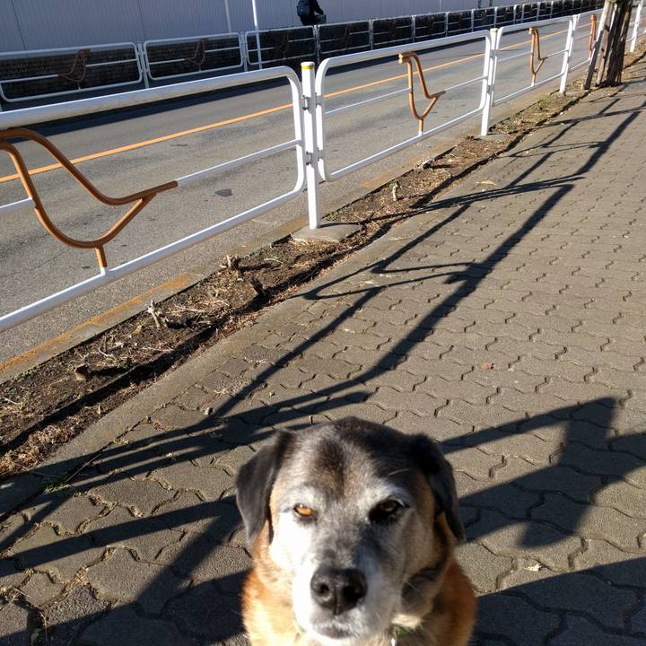 D6b58d0c 7d53 4177 be73 9c829af2997a 1518481562380