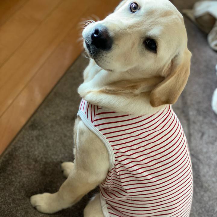 D6b590ad fb78 4ec7 826f 71ce38baa54f 1617949278650