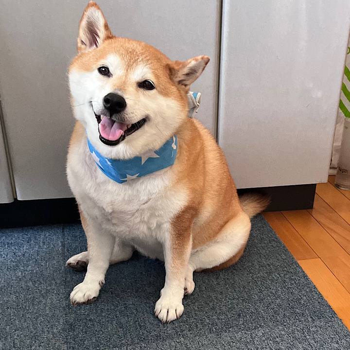 D6b6007c 0444 4dc7 80f3 3b6f518a7528 1690087733086