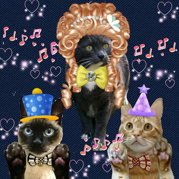 D6b60a1c 1efe 4325 9c99 bfb6a77b8df6 1533213923796