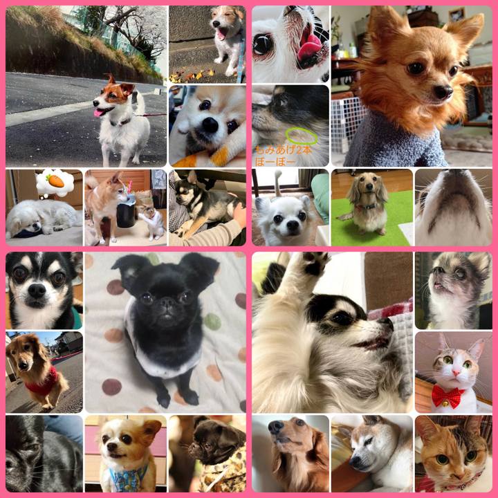 D6b614b4 efdc 42cb b9cf 4ee197e14d28 1676758909369