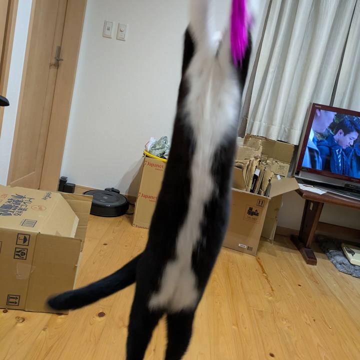 D6b61568 3fac 415c 9abf 0be64c67dc70 1755343896246