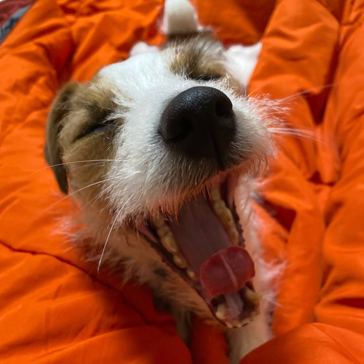 D6b61916 2802 4f0c bcf9 e60d011ad346 1706975600307