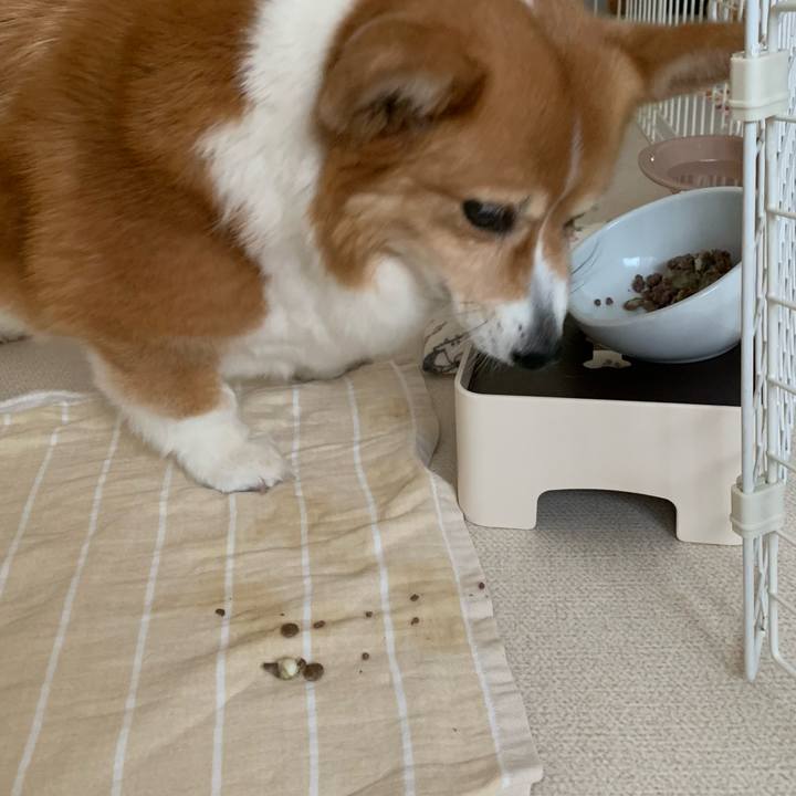 D6b6395c 2b84 440e bb93 c93ca60a102f 1717291467194