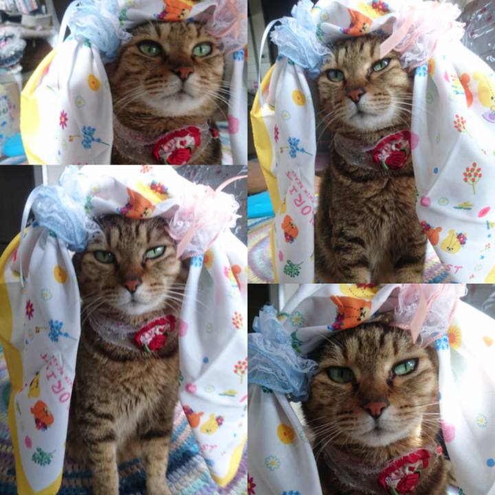 D6b67ef1 8e28 4486 a153 dc00c91764e6 1759445930775