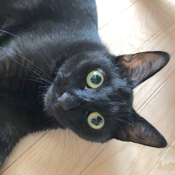 D6b694e9 4795 4b6b bc7d 67cdcf97162e 1571448078454