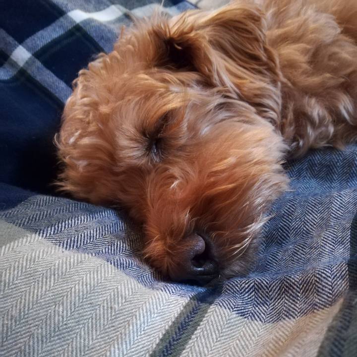 D6b699ca 263d 404d b717 25a7138fd077 1558531294387