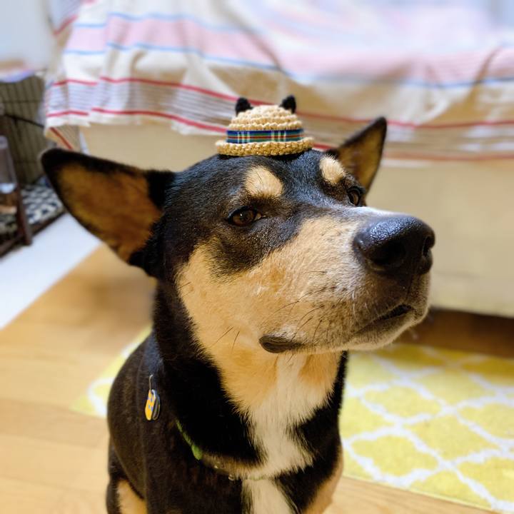 D6b6bc11 1f56 4120 bd8c 9531ea2e337a 1565090460080