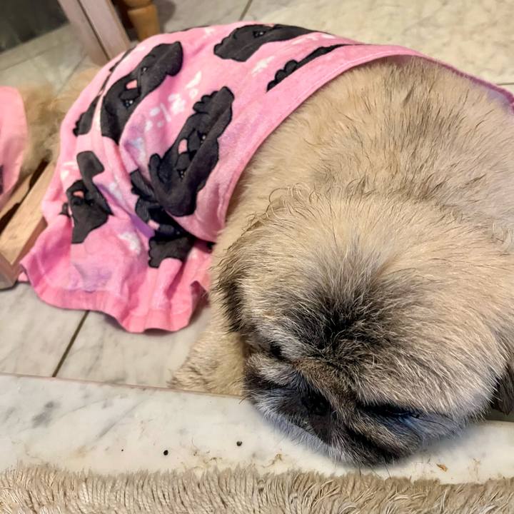 D6b7165a 1b36 4c52 a7bc 9b1c602627a8 1747468910922