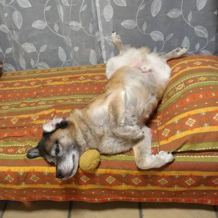 D6b75e14 89d7 429c b2f8 230dec534f6d 1565913721392