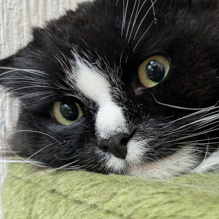 D6b76eb2 2f0d 4243 9ae8 51d538d23d03 1732970158964