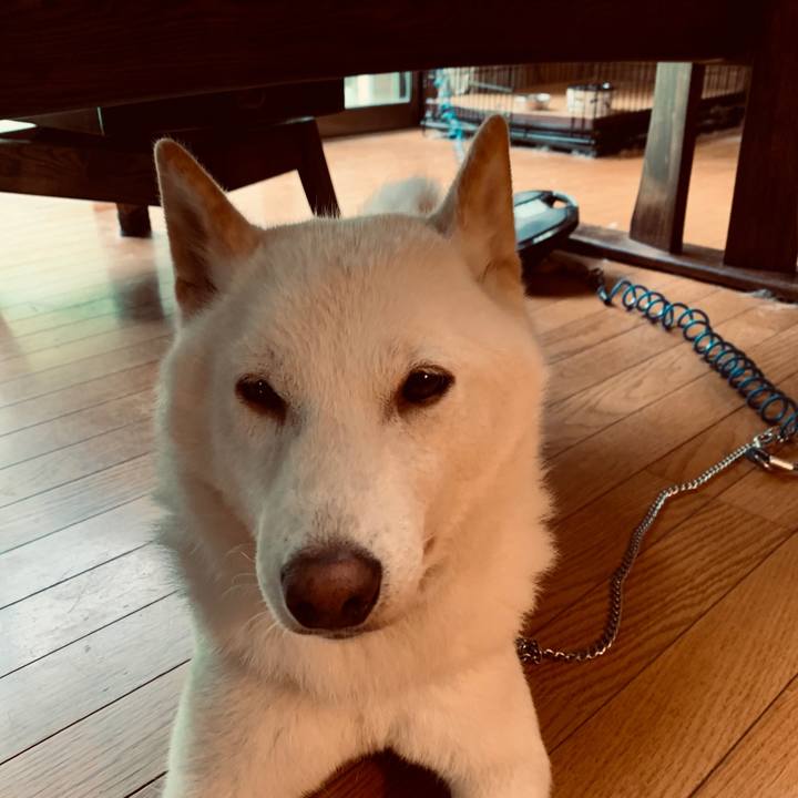 D6b773c7 c617 4e4d a09e c608fac6623d 1565296458093