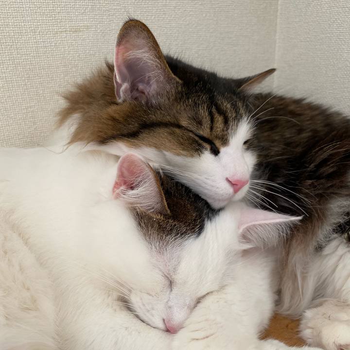 D6b77a39 91e0 4ad3 97c5 0c5c60d0f2ef 1581471263688