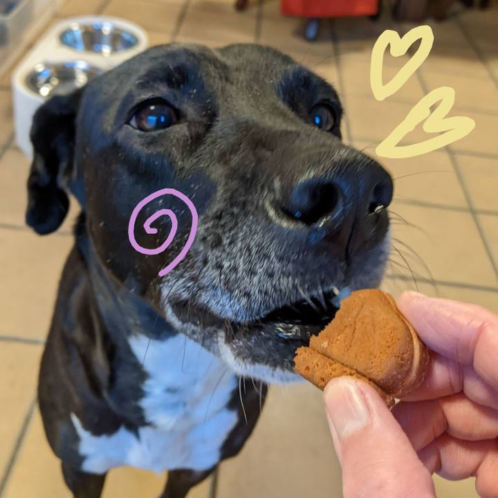 D6b7a8e8 705e 459c ad4f 41a24860c4bb 1645181074618