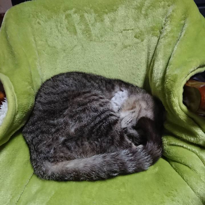 D6b7b06c 5c82 4443 801e 723eb09d8a4f 1589581021158