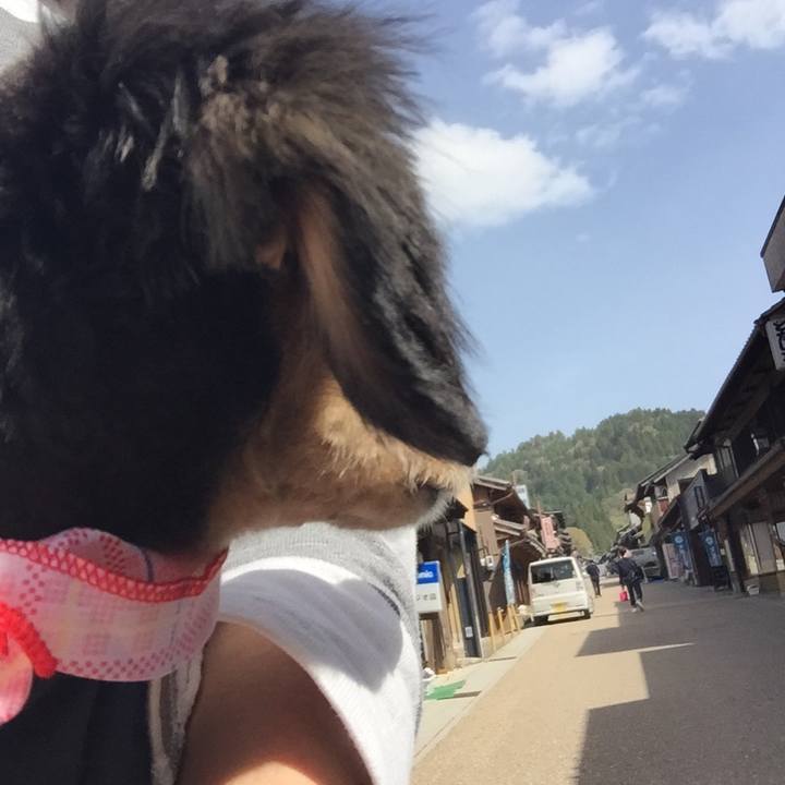 D6b7d896 b5e1 4a95 87ea 4ac4fcbd1560 1523865114475